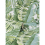 Fine Decor Fine Decor Maui Green Wallpaper FD42850 4