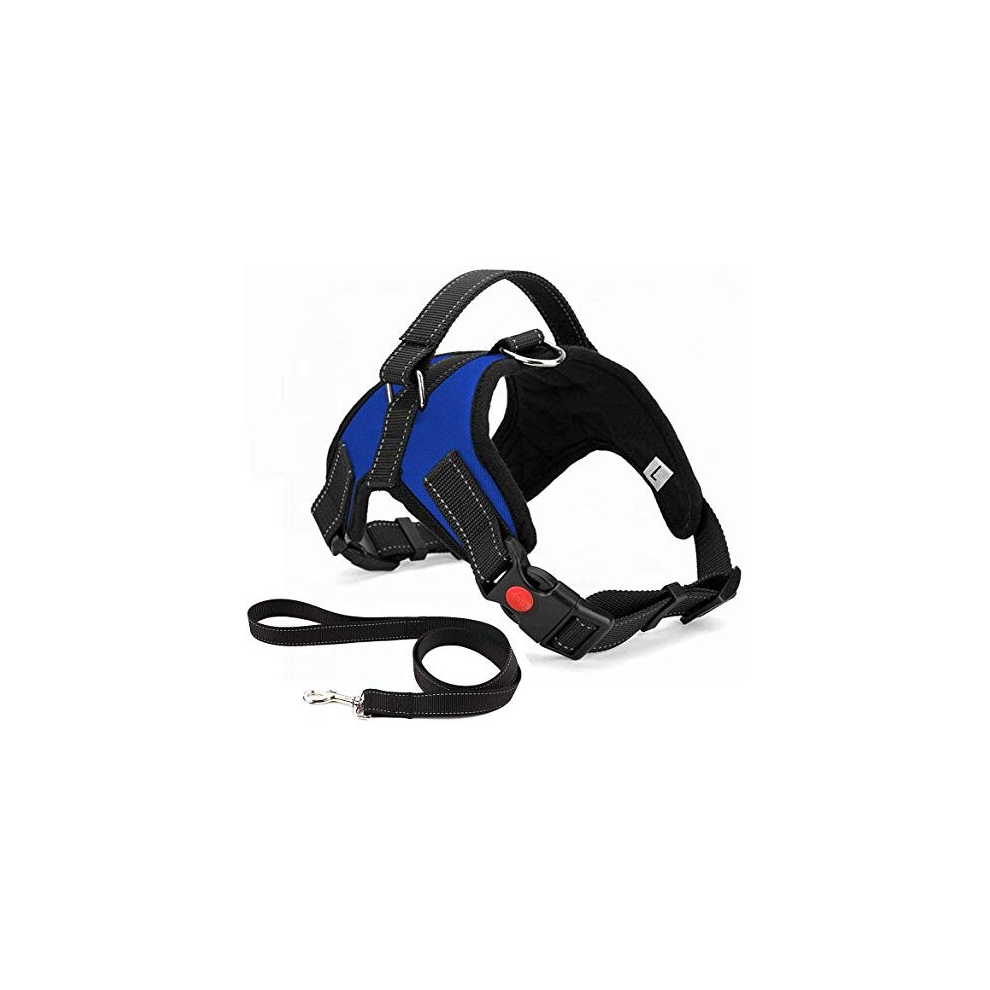 Musonic No Pull Dog Harness Breathable Adjustable Comfort Free Lead Included for Small Medium Large Dog, Best for Training Walking L Blue
