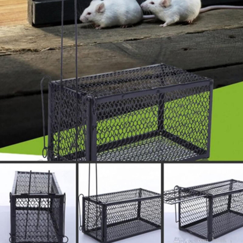 Humane Live Animal Mice Catcher for Mouse Rat Squirrel Hamster