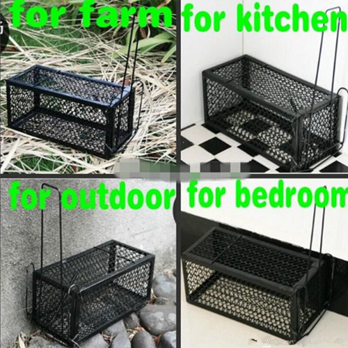 Humane Live Animal Mice Catcher for Mouse Rat Squirrel Hamster 1
