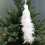 Simulation White Peacock Christmas Tree Decoration Natural Feather Pendant 1
