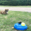 Tennis Training Device Ball Training Device Practice Self-Duty Tennis Self-Learning Rebound Device Sparring Device 6