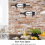 896A Shelf Bracket Single Champagne Storage Organizer for Kitchen Bar and Restaurants 4