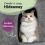 VidaXL (light grey) vidaXL Cat Tree with Sisal Scratching Posts 110cm Cat Play Tower Multi Colours 4