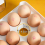 Household Egg Storage Box Drawer-Type Refrigerator Storage Box Plastic Refrigerator Anti-Drop EggBox Rack Double Layer Egg Tray 6