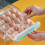 Household Egg Storage Box Drawer-Type Refrigerator Storage Box Plastic Refrigerator Anti-Drop EggBox Rack Double Layer Egg Tray 3