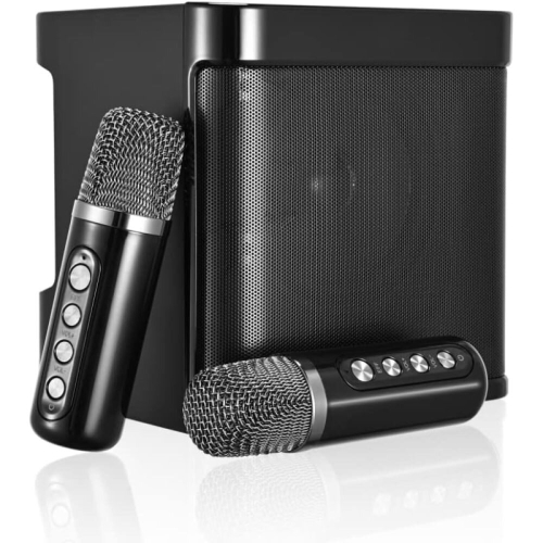 Portable Bluetooth Speaker And 2 Microphones Set Pa System RGB Speaker AUX Port 1