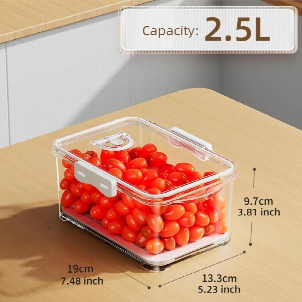 Refrigerator Organizer Containers Food-grade Vegetable Fruit Sealed Preservation Box Fridge Freezer Containers Kitchen Organizer-image-OPC-PCSBD2H-NEW