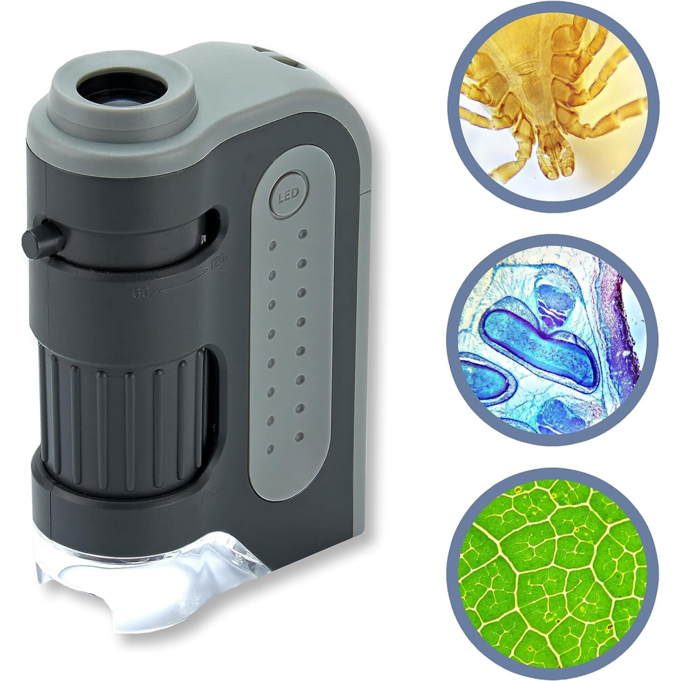 Carson MM 300 MicroBrite Plus 60 120x LED Lighted Pocket Microscope Grey