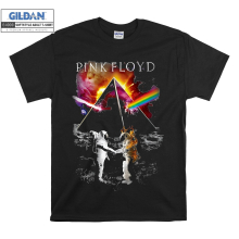 (Medium, Black) Pink Floyd Poster Men Women Unisex Top T Shirt T-Shirt Tshirt
