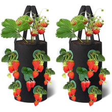 2 Pack 3 Gallon Strawberry Grow Bag with 12 Side Grow Pockets Breathable Growing Bag with Handles Plant Pot for Vegetable Flower Strawberry (Black)