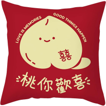 Short Plush Hug Pillow Sleeve Sofa Sofa Sofa 18x18 Inches Dark Throw Pillows (Pink, One Size)