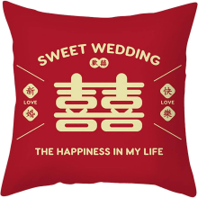 Short Plush Hug Pillow Sleeve Sofa Sofa Sofa 18x18 Inches Family Pillows Decorative Throw Pillows (Purple, One Size)