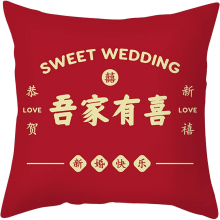 Short Plush Hug Pillow Sleeve Sofa Sofa Sofa 18x18 Inches Family Pillows Decorative Throw Pillows (Blue, One Size)