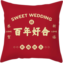 Short Plush Hug Pillow Sleeve Sofa Sofa Sofa 18x18 Inches Family Pillows Decorative Throw Pillows (Hot Pink, One Size)