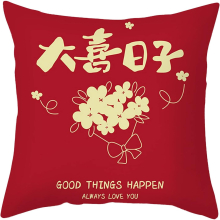 Short Plush Hug Pillow Sleeve Sofa Sofa Sofa 18x18 Inches Throw Pillows with Insert (Purple, One Size)