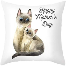 Decorative Pillows Mother's Day Pink Love Flower Peach Skin Sofa, Tpr366-3,45*45Cm (Excluding Pillow Core)