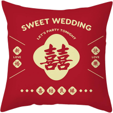 Short Plush Hug Pillow Sleeve Sofa Sofa Sofa 18x18 Inches Throw Pillows with Insert (Blue, One Size)