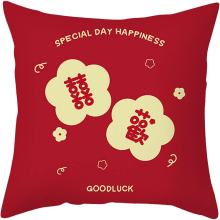 Short Plush Hug Pillow Sleeve Sofa Sofa Sofa 18x18 Inches Large Pillows for Bed Decorative (Pink, One Size)