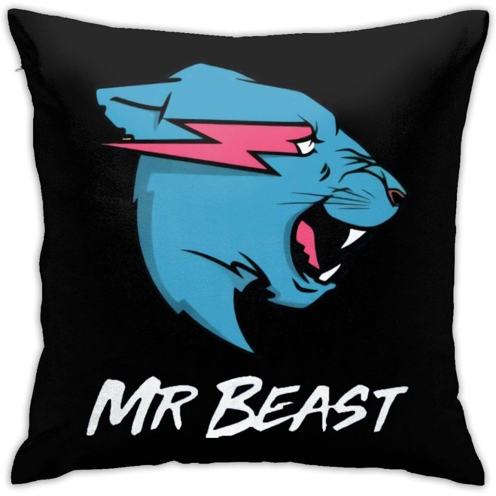 Mr Beast Pattern Throw Pillow Covers Polyester Cushion Cover Cases Pillowcases Sofa Home Decor