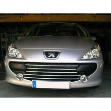 PEUGEOT 307 Lift Chrome Grill Trims - Radiator Bar Accents Decoration atrapa Tuning