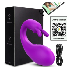 (Purple Box) App Wireless Vibrator For Women Bluetooth Remote Control Panties Vibrating Egg Clitoris G Spot Dildo Massager Sex Toys F