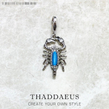 Scorpion Charms Pendant Europe Jewelry Accessories 925 Sterling Silver Gift For Women Men