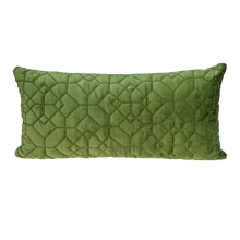 Sora Transitional Throw Pillow, Olive