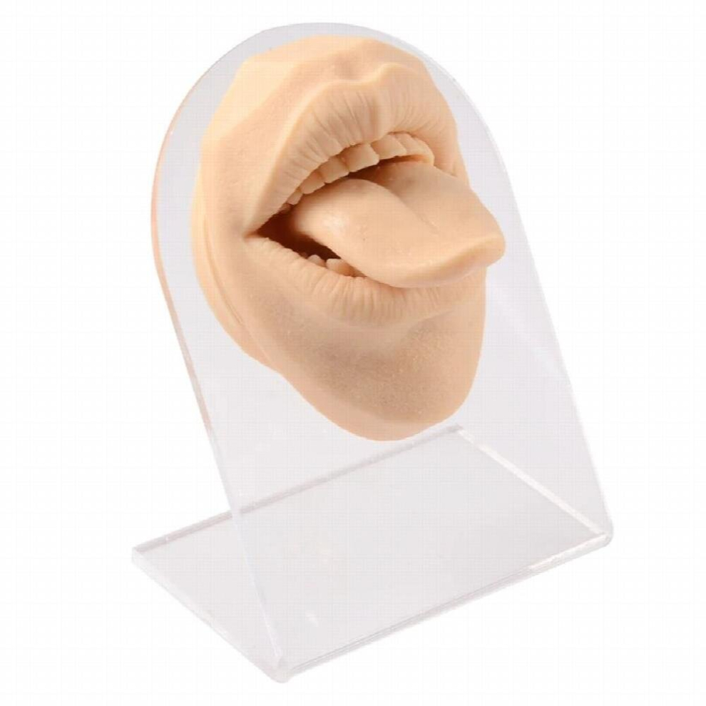 1Pcs Simulation Soft 1:1 Face Silicone Model Mouth Tongue Model Puncture Training Tool Body Part Display Nose Piercing Jewelry