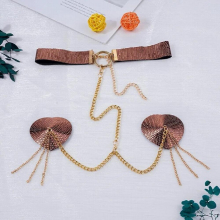 Sexy Pu Leather Metal Chain Nipple Cover With Choker Necklace Body Chain Jewelry Heart Shape Nipple Pasties