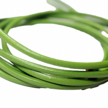 Aaazee 5 Yards 3mm Diameter Round Real Cow Hide Spring Green Leather Cord, Coated Strap RLG3M233