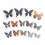 1pc Random Butterfly Specimen Folded Real Insects Butterfly Specimen 4