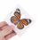 1pc Random Butterfly Specimen Folded Real Insects Butterfly Specimen 2