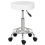 Adjustable Salon Stool PU Leather Swivel Chair Massage Chairs 1