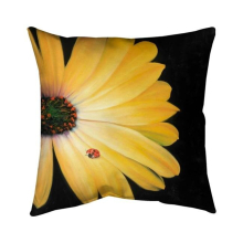 26 x 26 in. Yellow Daisy & Ladybug-Double Sided Print Indoor Pillow