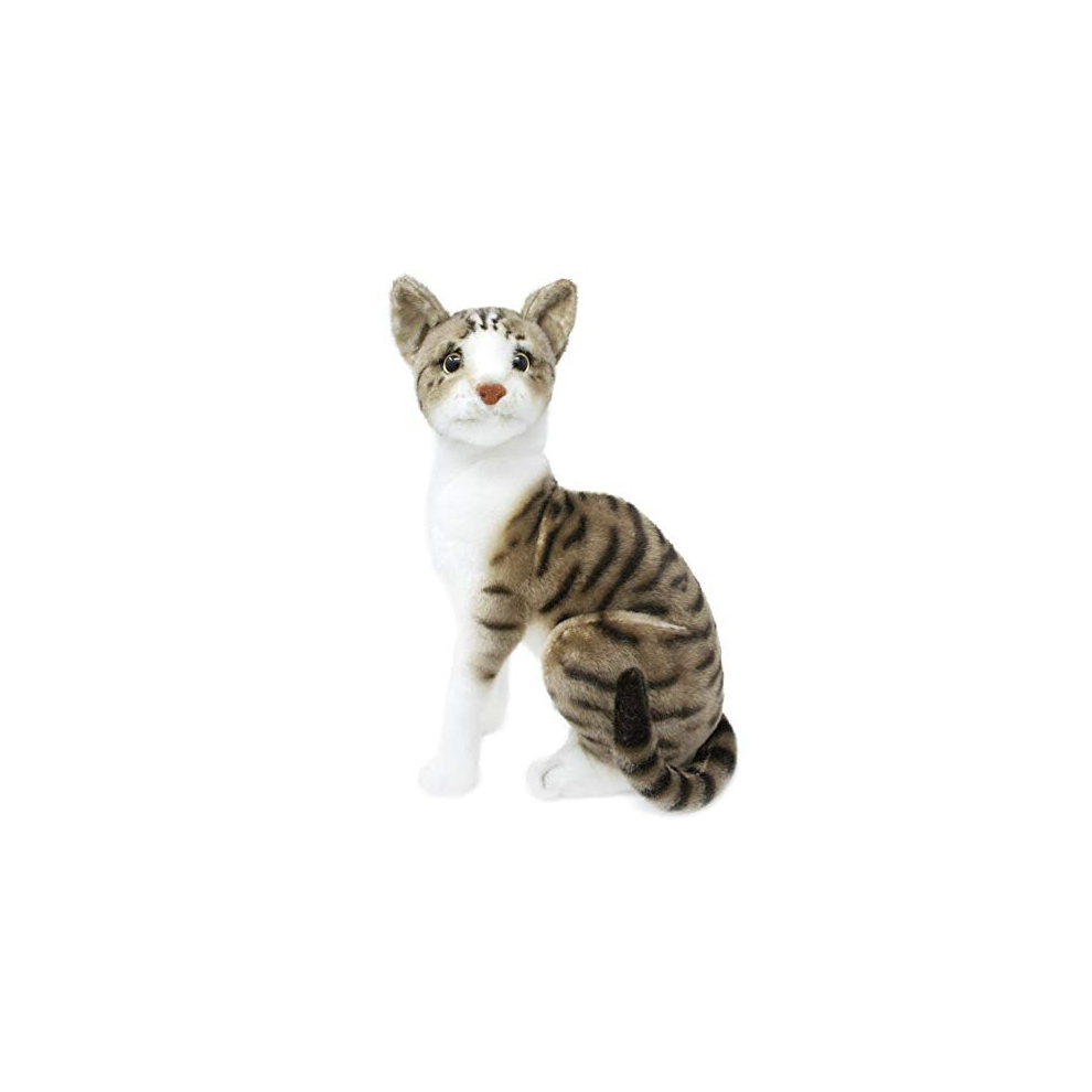 Amy le chat am   ricain     poil court - Peluche animal en peluche de 14 pouces - par Tiger Tale Toys
