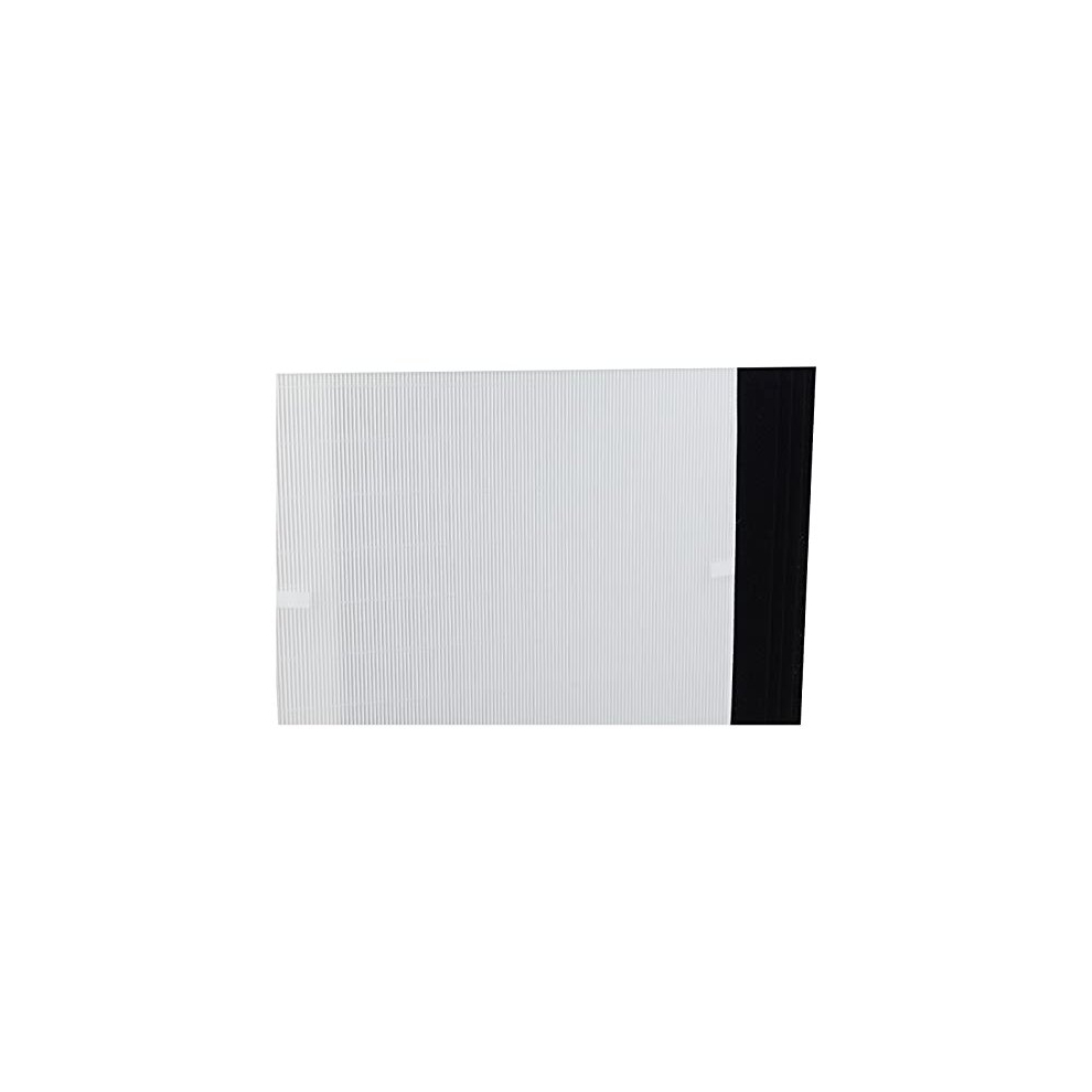 Genuine Winix 113250 Replacement Filter E for P450