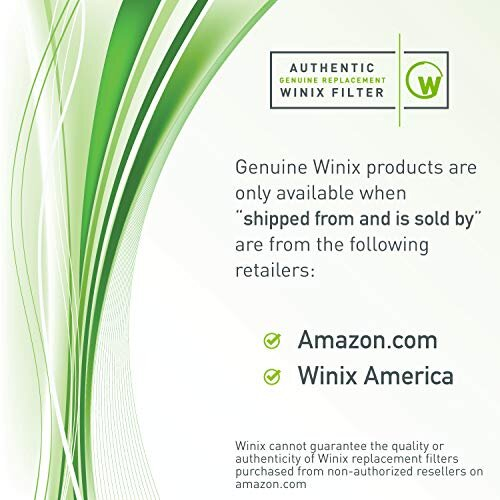 Genuine Winix 113250 Replacement Filter E for P450 1