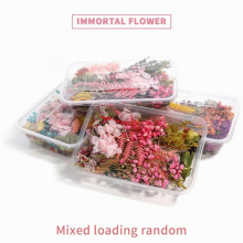 1 Box Bulk Mixed Dried Flowers Plants Decoration Making Craft DIY Epoxy Filled Flowers Resin Aromatherapy Random Accessories