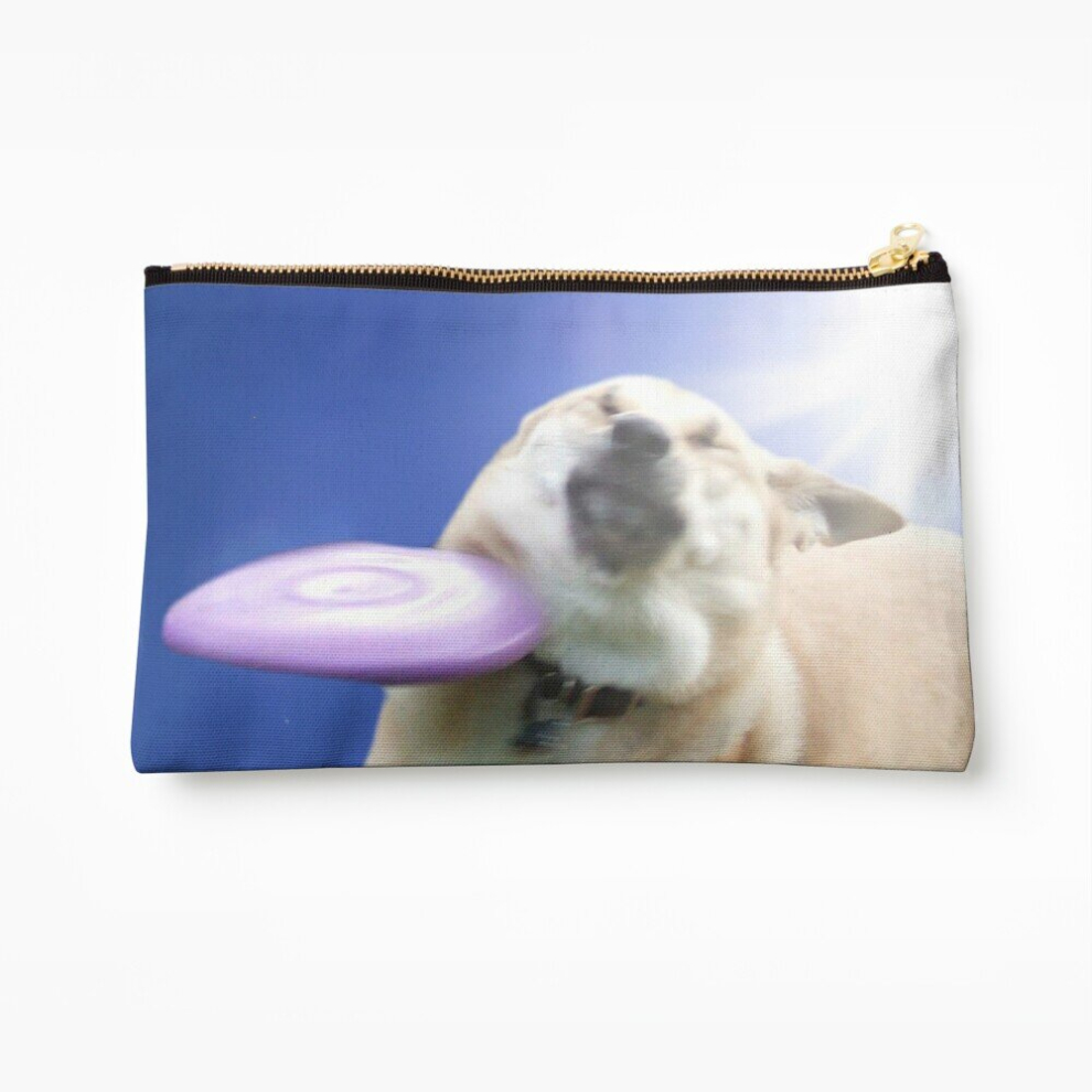 Whibos Makeup Bag Frisbee Dog, Doggo #4 Cosmetic Organizer Tyvek Paper Bags Zipper Pouch