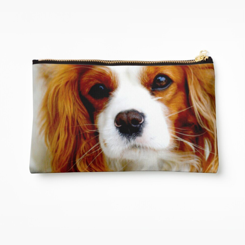 Whibos Makeup Bag Cavalier King Charles Spaniel Cosmetic Organizer Tyvek Paper Bags Zipper Pouch