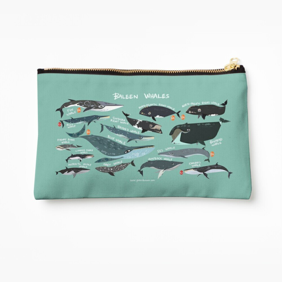 Whibos Makeup Bag Baleen Whales Cosmetic Organizer Tyvek Paper Bags Zipper Pouch