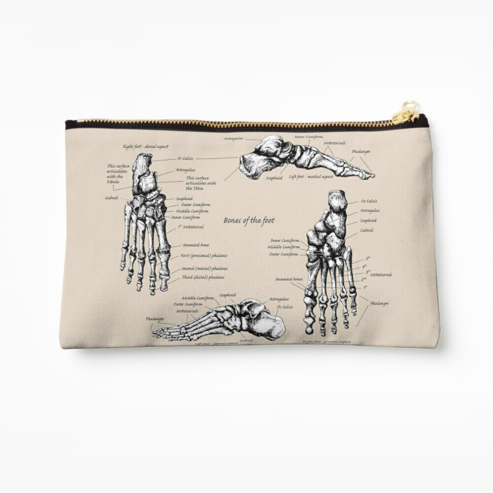 Whibos Makeup Bag The Bones Of The Human Foot. Cosmetic Organizer Tyvek Paper Bags Zipper Pouch