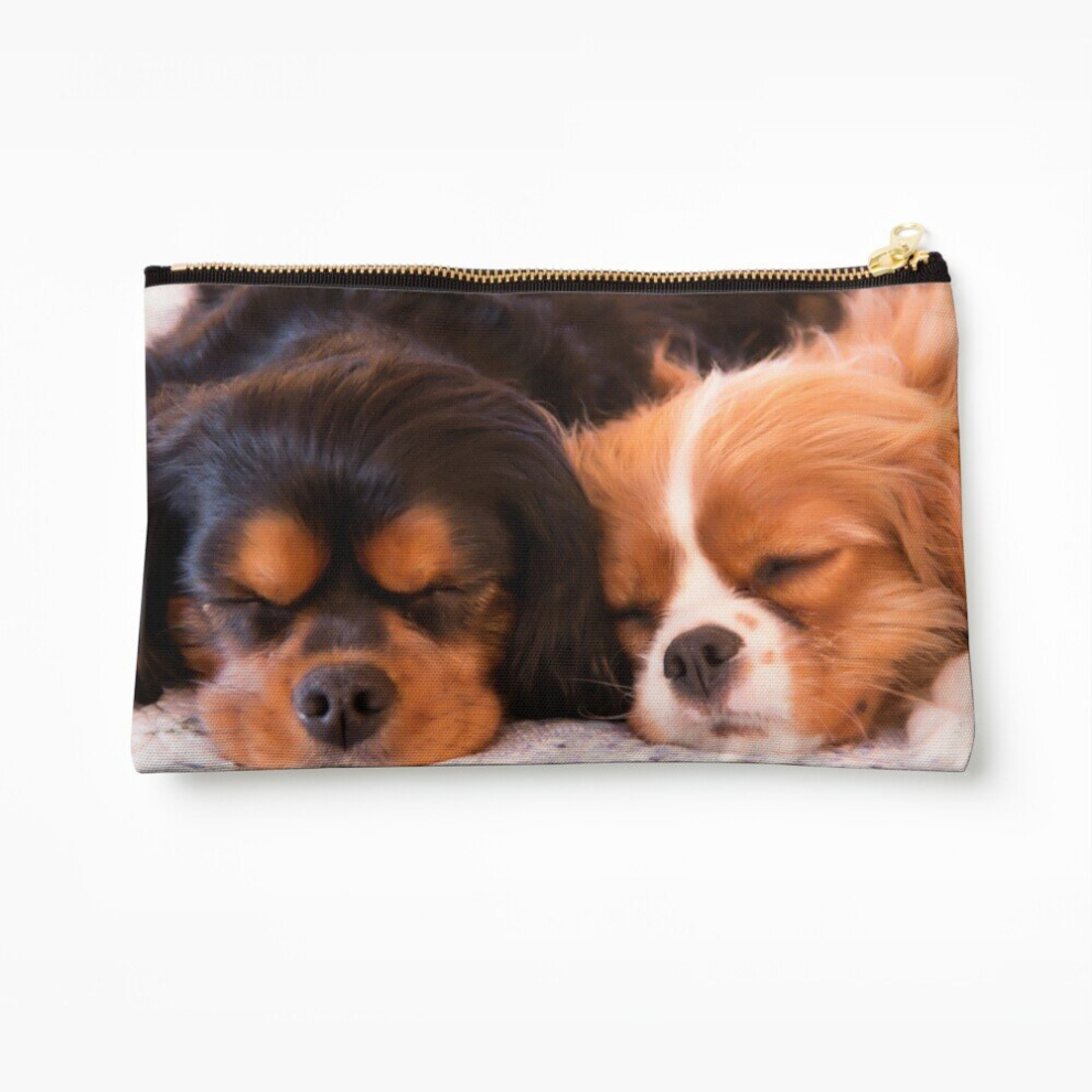 Whibos Makeup Bag Sleeping Buddies Cavalier King Charles Spaniels Cosmetic Organizer Tyvek Paper Bags Zipper Pouch