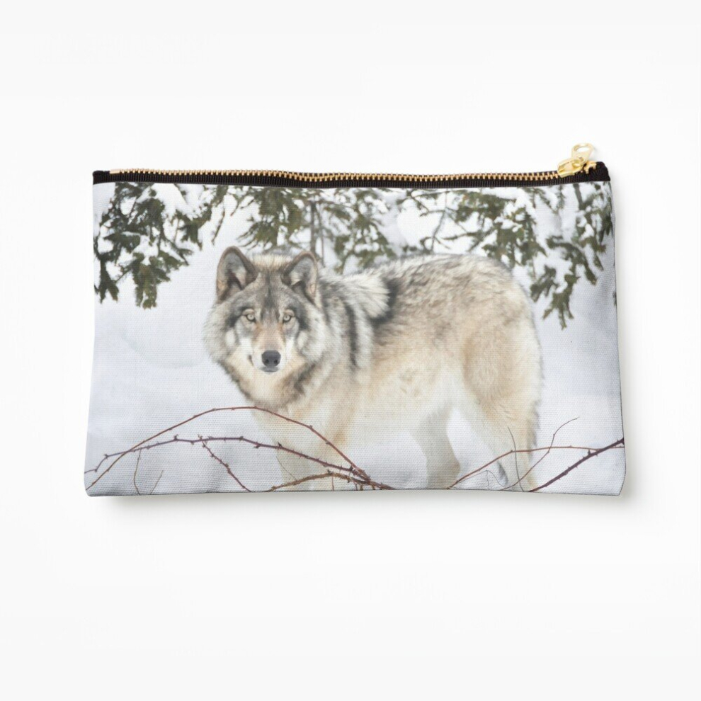 Whibos Makeup Bag Dream Wolf.... Cosmetic Organizer Tyvek Paper Bags Zipper Pouch