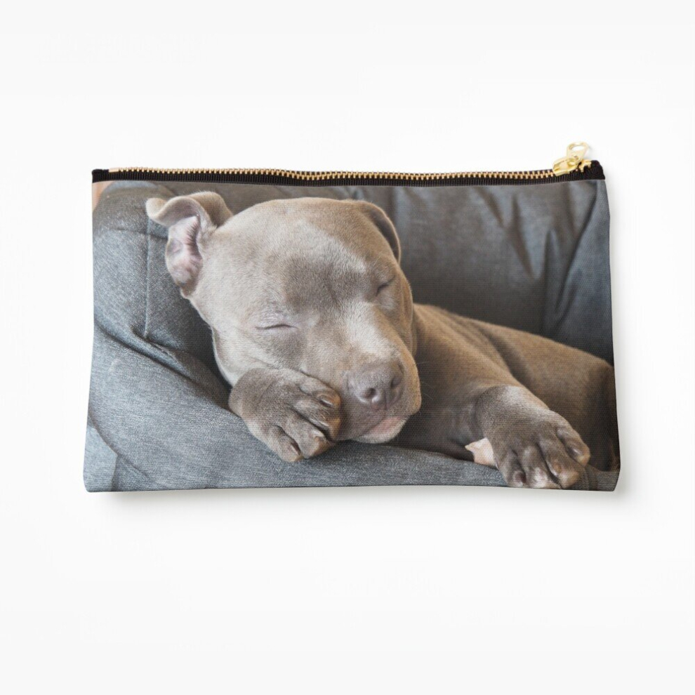 Whibos Blue Makeup Bag Gorgeous Sleeping Staffy Puppy Cosmetic Organizer Tyvek Paper Bags Zipper Pouch