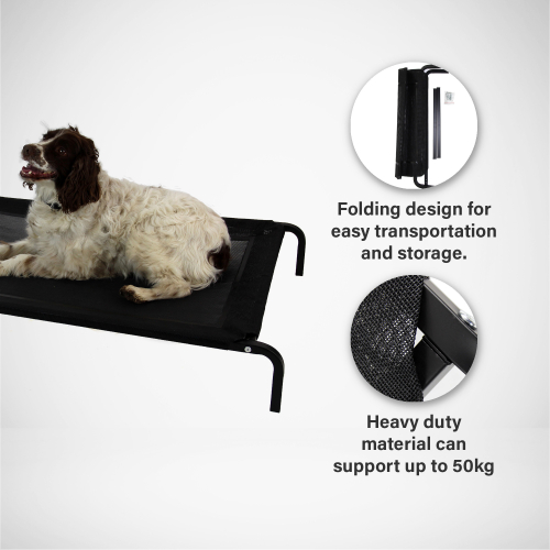 Actiaspet Large Elevated Dog Bed with Mesh Cot 1
