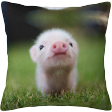 Baby Pig Pillow Case Covers Print Decorative Throw Pillow Covers For Room Sofa cmxcm