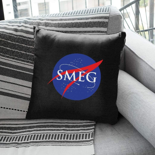 Red Dwarf Smeg Nasa Cushion 18"x18" 2