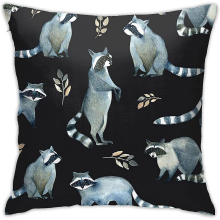 Cute Raccoon Cartoon Animal Pillowcase Gift Pillow Cover